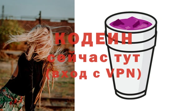 прущие грибы Осташков
