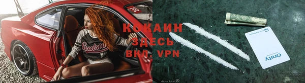 Альфа ПВП Новодвинск