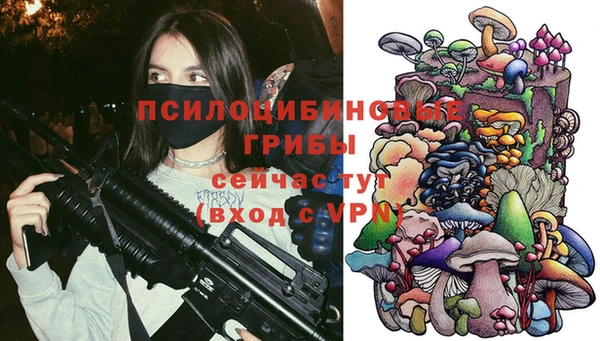 прущие грибы Осташков