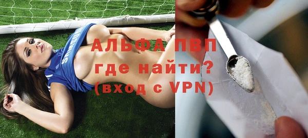прущие грибы Осташков