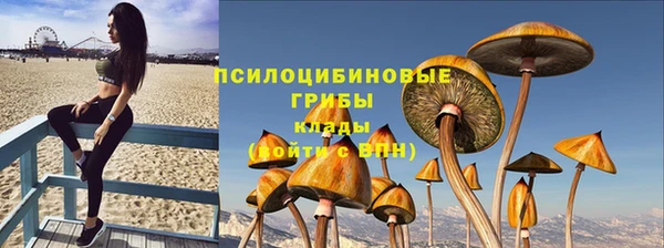тгк Пересвет
