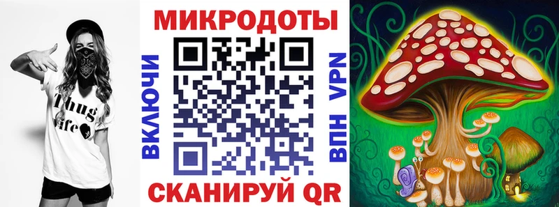 Псилоцибиновые грибы MAGIC MUSHROOMS  что такое   Карабаш 